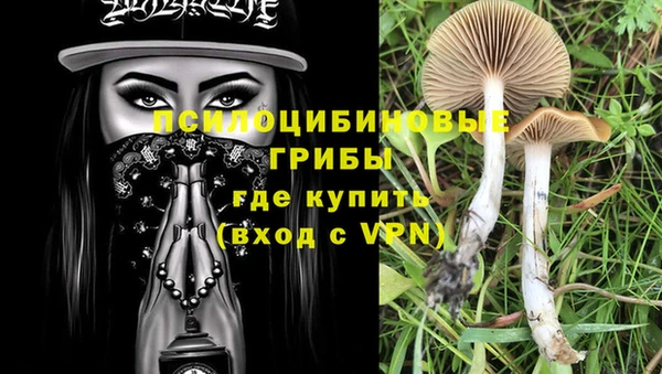 крисы Абдулино