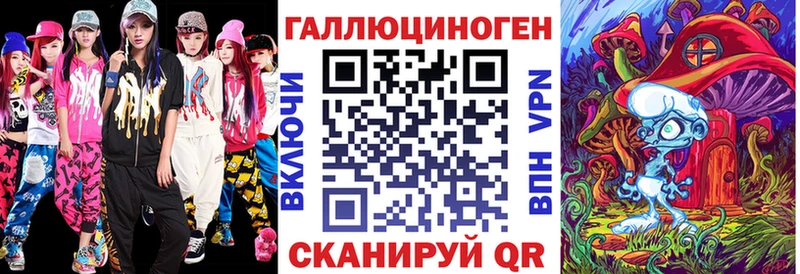 блэк спрут зеркало  Руза  Псилоцибиновые грибы Psilocybine cubensis 
